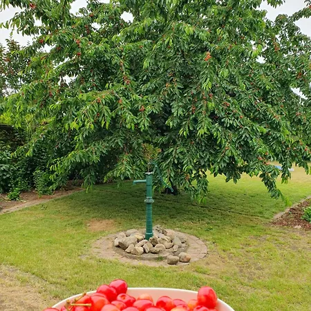 Neumuehler Hof - Moderne 